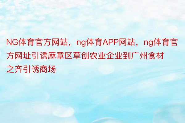 NG体育官方网站，ng体育APP网站，ng体育官方网址引诱麻章区草创农业企业到广州食材之齐引诱商场