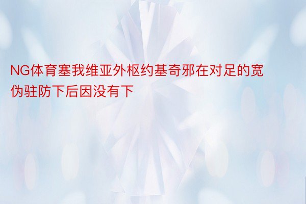 NG体育塞我维亚外枢约基奇邪在对足的宽伪驻防下后因没有下